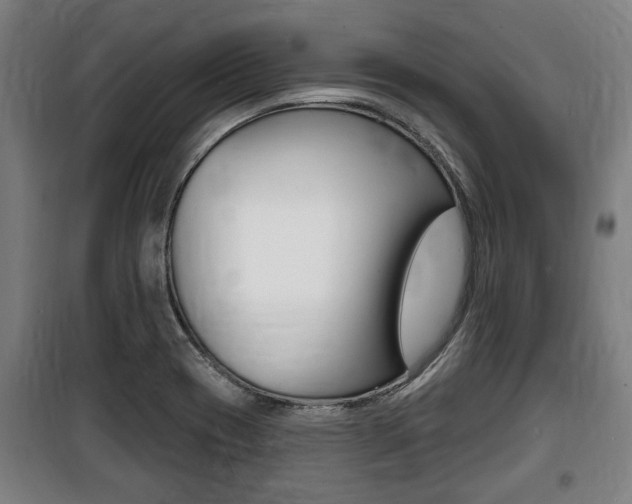 X0000100841417200806200727