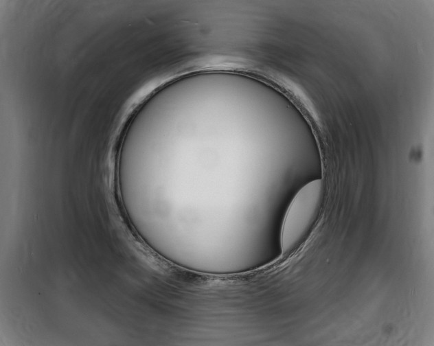 X0000100841419200806200727