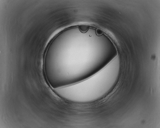 X0000100841420200806200727