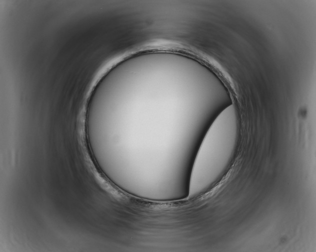 X0000100841421200806200727