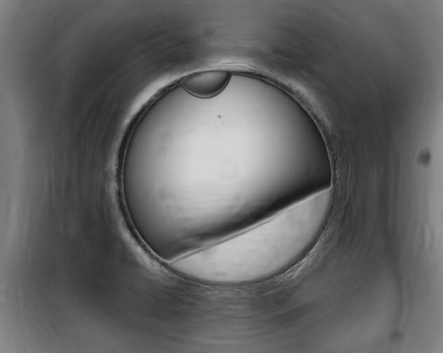 X0000100841422200806200727
