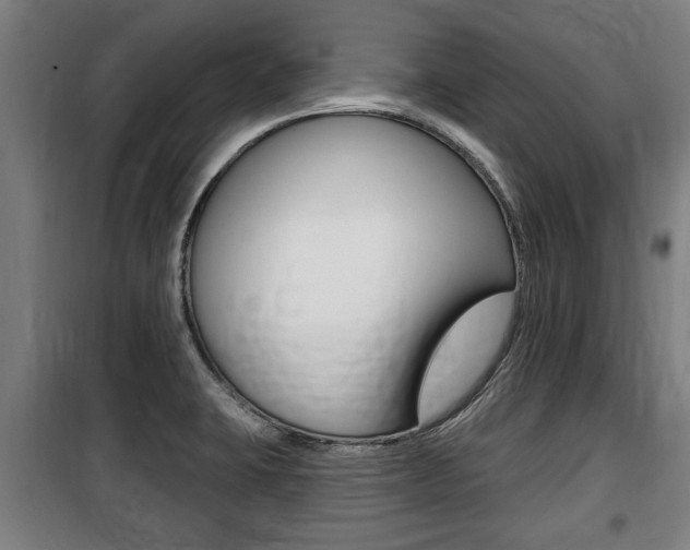 X0000100841423200806200727