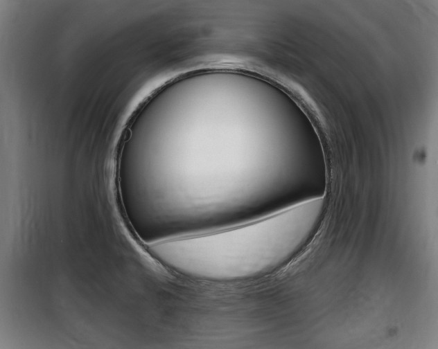 X0000100841424200806200727
