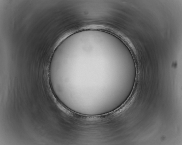 X0000100841425200806200727