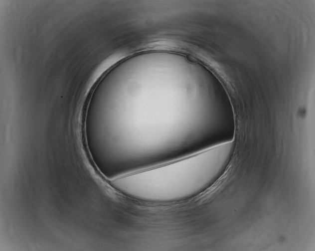X0000100841426200806200727