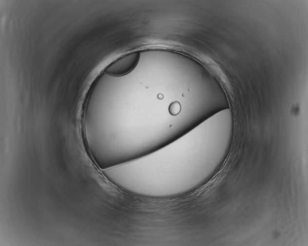 X0000100841427200806200727