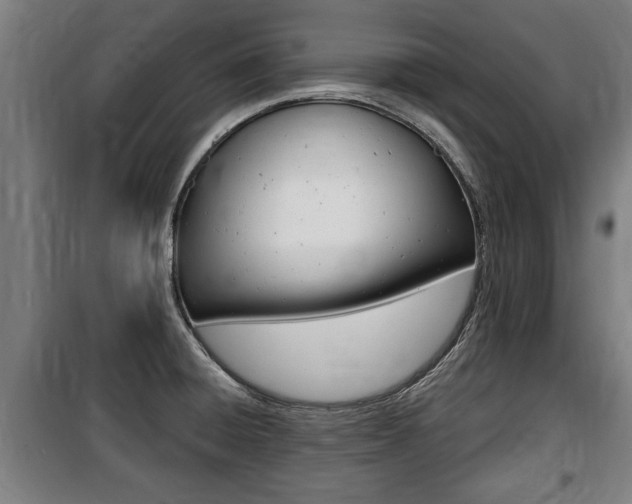 X0000100841428200806200727