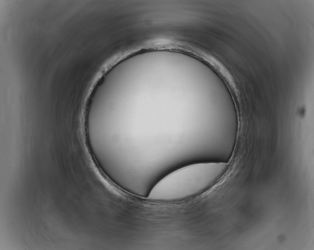 X0000100841429200806200727