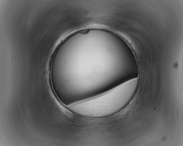 X0000100841430200806200727