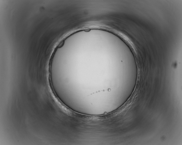 X0000100841431200806200727