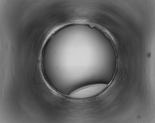 X0000100841432200806200727