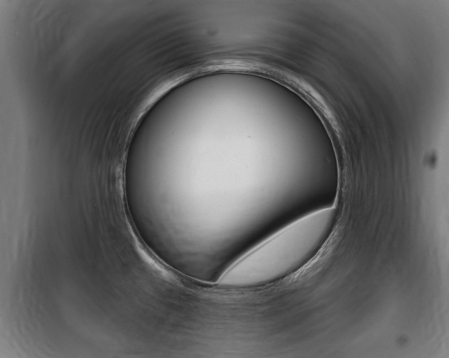 X0000100841433200806200727