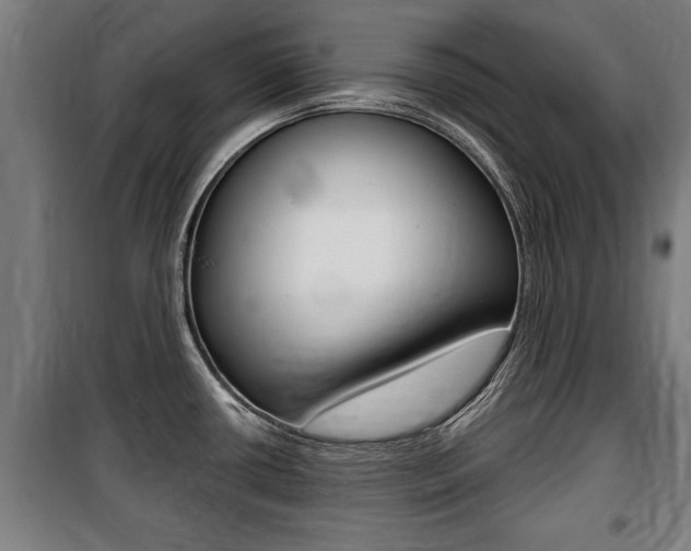X0000100841434200806200727