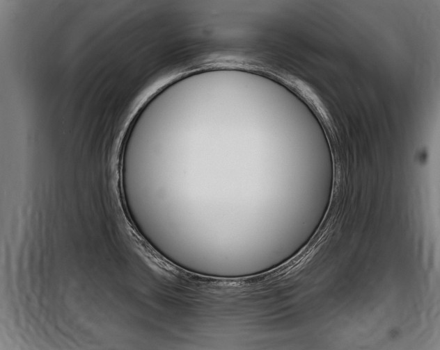 X0000100841435200806200727