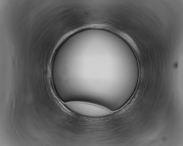X0000100841436200806200727