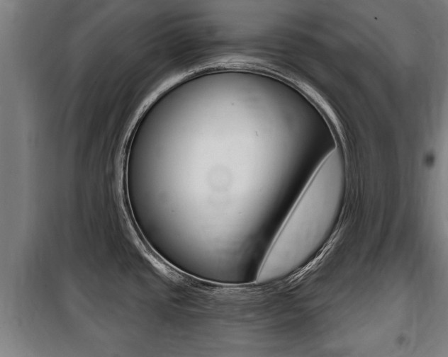 X0000100841437200806200728