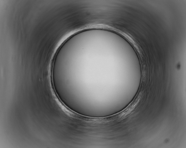 X0000100841438200806200728