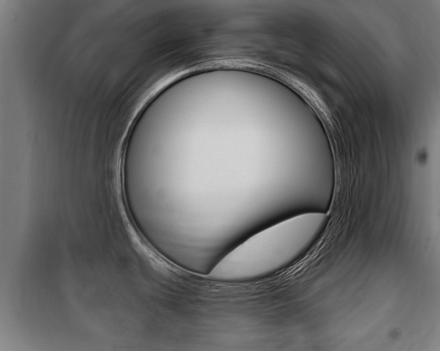 X0000100841439200806200728