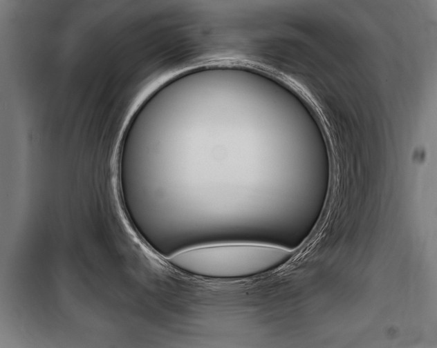 X0000100841440200806200728