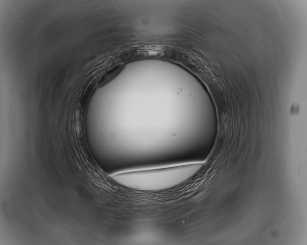 X0000100841442200806200727