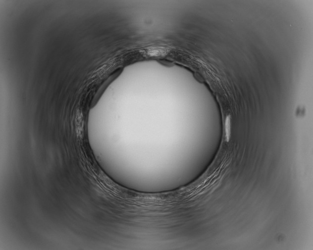 X0000100841443200806200727