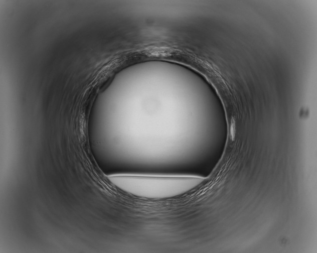 X0000100841444200806200727