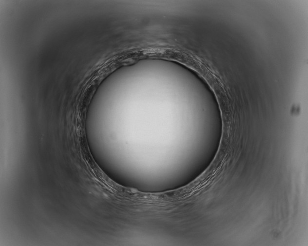 X0000100841445200806200727