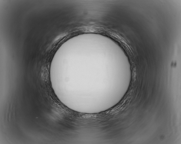 X0000100841446200806200727