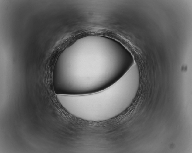 X0000100841447200806200727