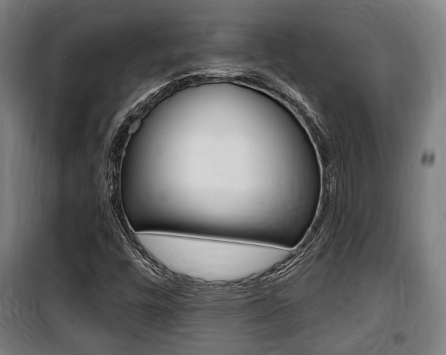 X0000100841448200806200727