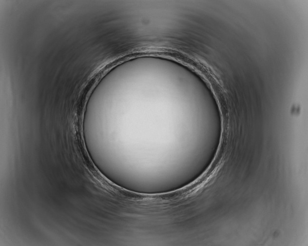 X0000100841449200806200727