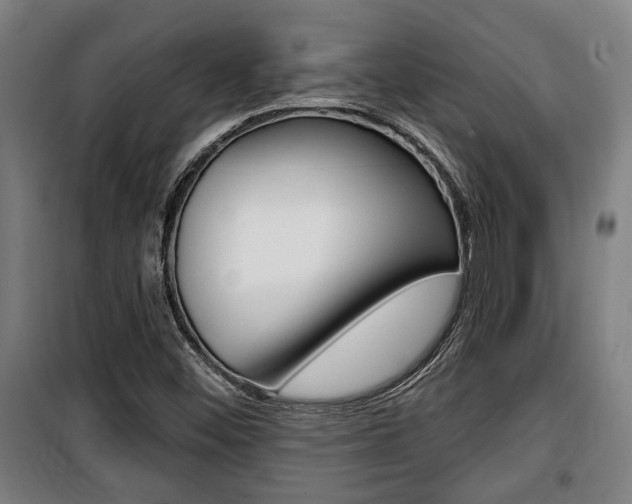 X0000100841452200806200727