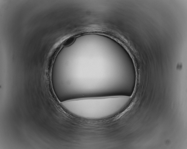 X0000100841453200806200727