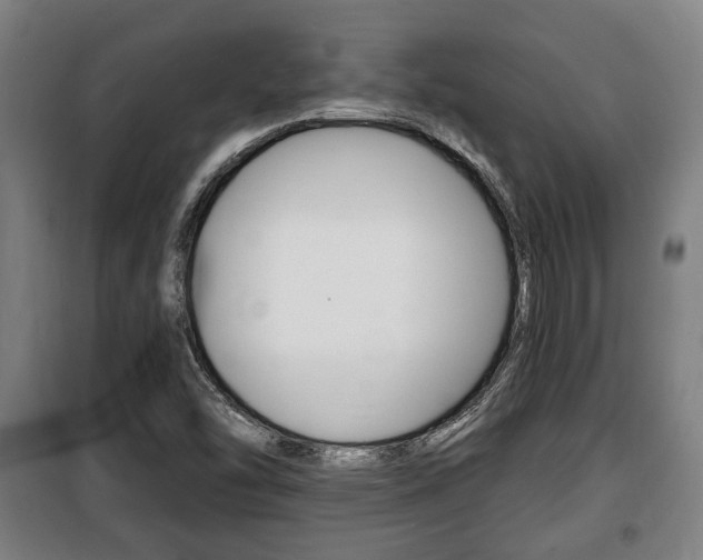 X0000100841454200806200727