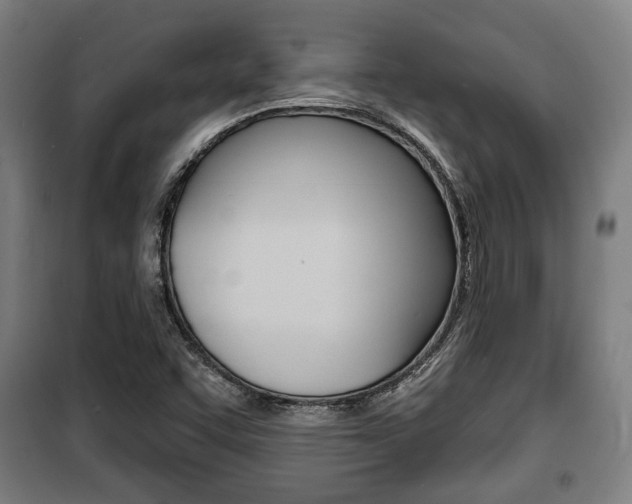 X0000100841455200806200727