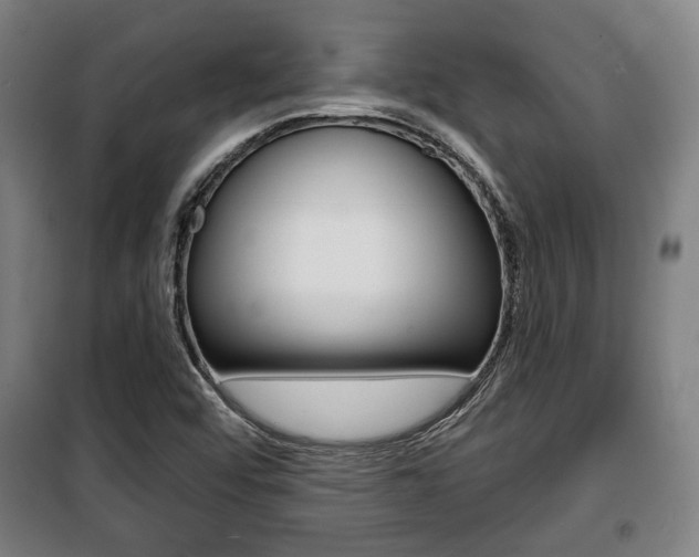 X0000100841456200806200727