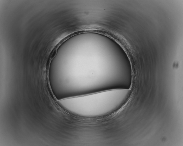 X0000100841457200806200727