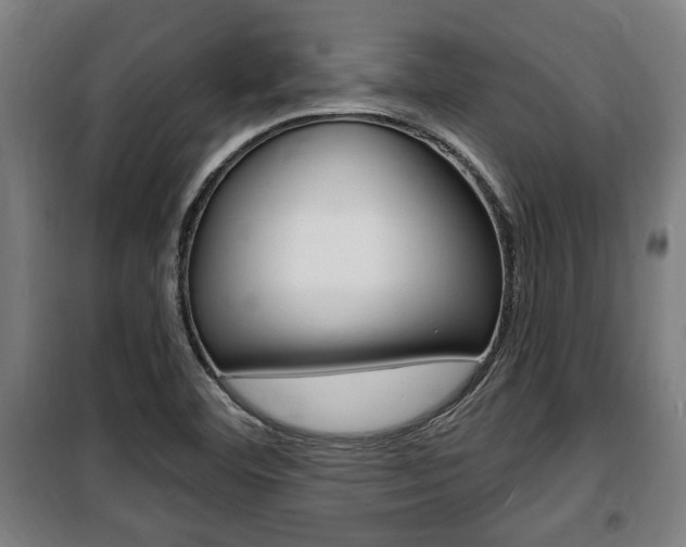 X0000100841460200806200727