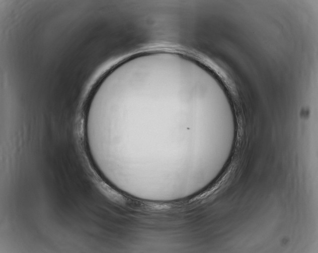 X0000100841462200806200727