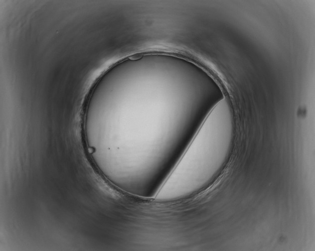 X0000100841463200806200727