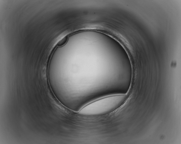 X0000100841465200806200727