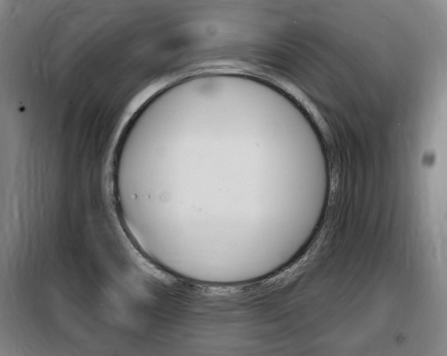 X0000100841466200806200727