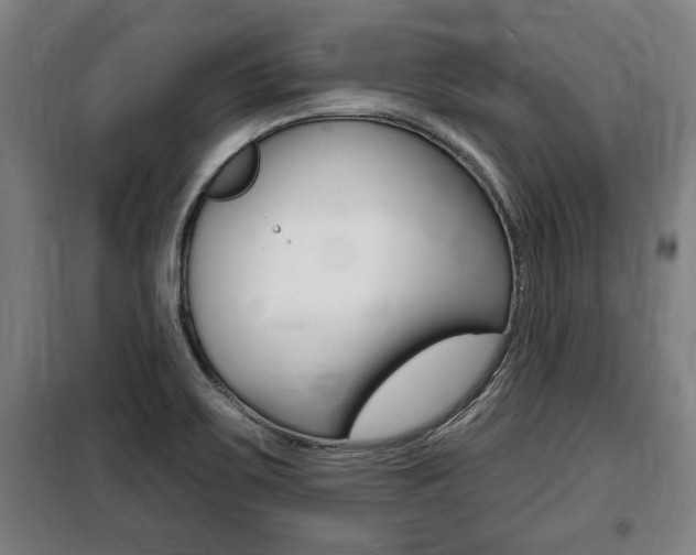 X0000100841467200806200727