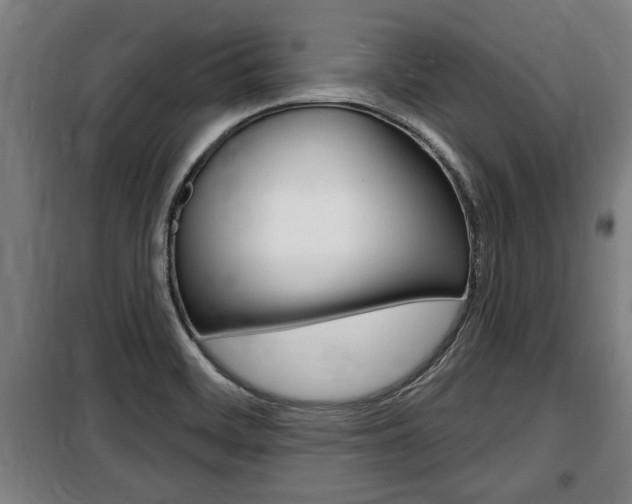 X0000100841468200806200727