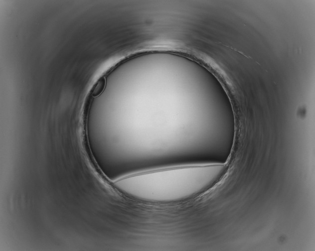 X0000100841469200806200726