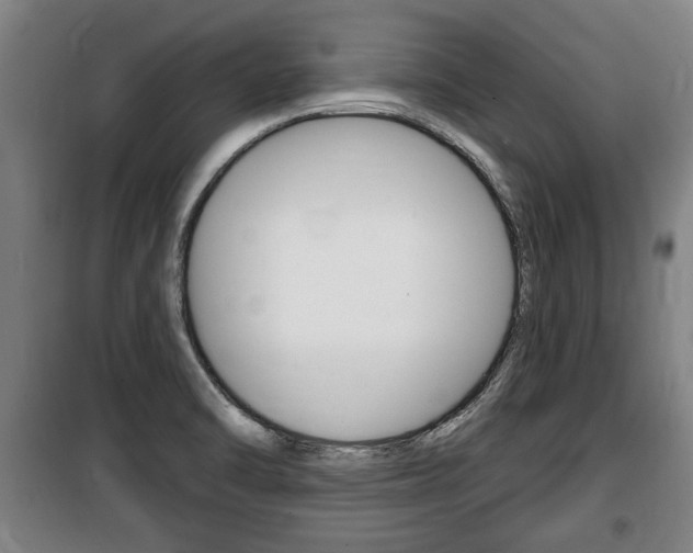 X0000100841470200806200726