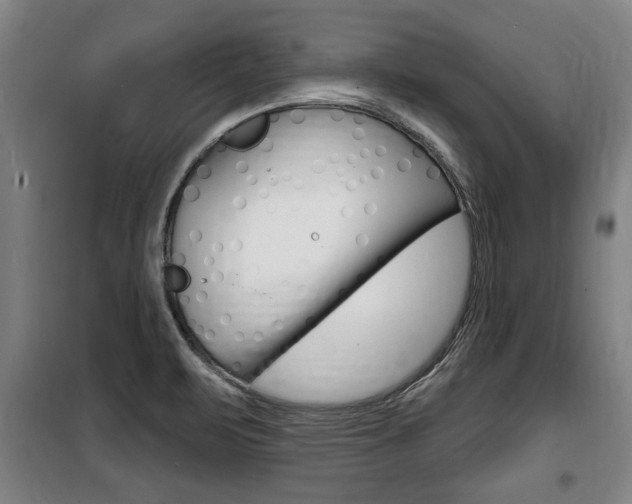 X0000100841471200806200726