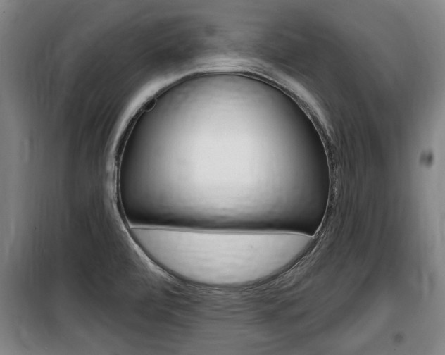 X0000100841472200806200726