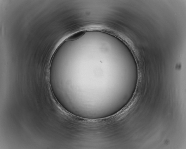 X0000100841473200806200726