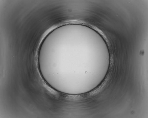 X0000100841474200806200726